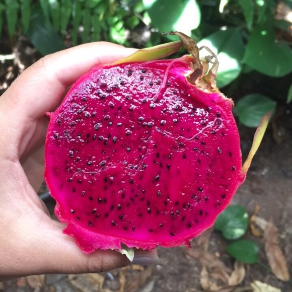 Meet your Posher, Brittney - Picture 1 of 1